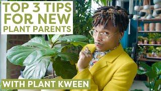 Plant Kween's 3 Best Tips for New Plant Parents | HGTV Handmade