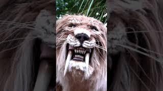 Animatronic Smilodon Saber-toothed Prehistoric Big Cat | Dinosaurs Predators | #Shorts