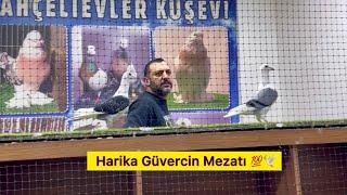 GÜVERCİN MEZATI ~ İstanbul Bahçelievler Kuş Evi Selçuk Zal ~ Taklacı Dolapçı Posta Baska