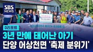 3년 만에 태어난 아기…단양 어상천면 '축제 분위기' / SBS / #D리포트