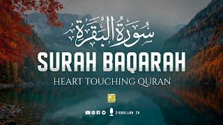 Surah Al Baqarah Full (سورة البقره) | Relaxing heart touching Majestic voice | Zikrullah TV