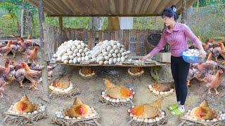 TIMELAPSE--38 Days Harvest Many Chicken Eggs, Chickens, Fish,...Go To Countryside Market Sell