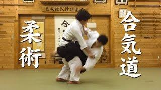 合気道と柔術 Aikido and Jiu-Jitsu techniques