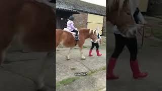 #equestrian#horse#pony#months#years#bella#