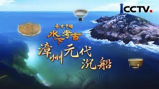 给瓷器加上“保护壳” 水下文物也能打包？精美纹饰揭开福建漳州古沉船神秘面纱 《水下考古·漳州元代沉船》| CCTV「寻古中国」20241211