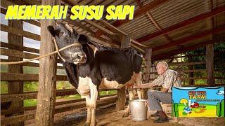 MEMERAH SUSU SAPI I PETERNAKAN I ON THE FARM KIDS KNOWLEDGE