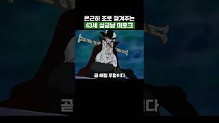 원피스) 은근히 조로 챙겨주는 43세 싱글남 미호크