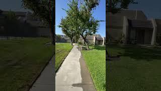Cerritos - Tuburon Community