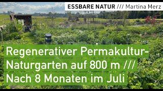 Reiche Selbstversorgungs-Ernte im 1. Sommer: Regenerativer Permakulturgarten am Alpenrand auf 800m