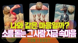 타로=손타로= 그 사람이 마음 먹고 있는 우리 관계의 방향성+근황+현실 속마음행동 변화 집중 분석~!!
