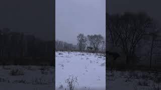 So pretty  I forgot my helmet so dm that || #ottb #snowstorm #fit #grey #winter #grace