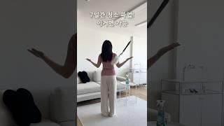 저 요즘 청소 안해요 근데 먼지가 안쌓이는 신박 청소템