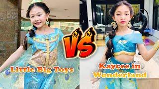 Little Big Toys VS Kaycee in Wonderland Transformation  From Baby To 2024