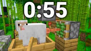 Minecraft Sheep F*cker Speedrun WORLD RECORD (0:55)