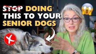 What Is The BEST Senior Dog Nutrition Advice?? Top TIPS & Myths BUSTED!