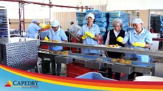 CDFP Employment creation