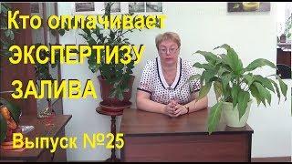 За чей счет проводится независимая экспертиза залива Выпуск 24 Спроси у эксперта