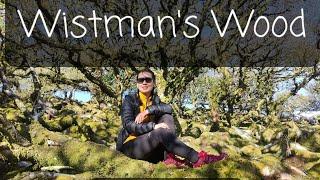 Hiking in Wistman's Wood, Dartmoor National Park, Devon