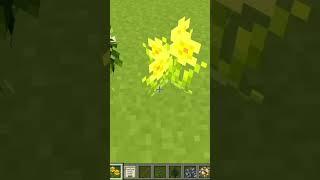 how to make a flower pot using mizunos CIT pack #short