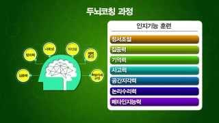 자신감, 집중력, 메타인지 길러주는 아동청소년 두뇌코칭 BR뇌교육 두뇌코칭 과정