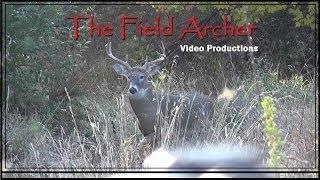 CROSSBOW DEER HUNTS: WARNING!!! IMPACT SHOTS!