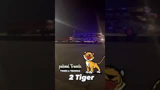 TWO PALIWALTRAVELS  #shortvideo @gajenderpaliwal603