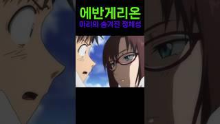 에반게리온 마리의 숨겨진 정체성