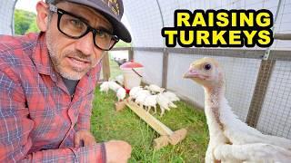 Four Things I am doing differently Raising Turkeys This Year