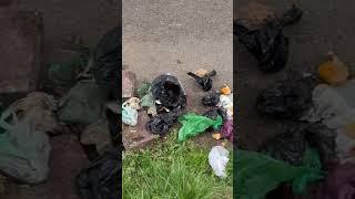 Nn3 community garden. It’s up to all of you to put a stop to this now.