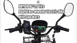 ANYIDA 16*3.0 Tire Adult Two-wheeler Electric Bike with Speakers | Electric Vehicle Factory