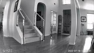 Roomba falling down stairs