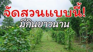 จัดสวนแบบนี้! รับรองมีกินยาวนาน โดยใช้พื้นที่แค่ 1 ไร่เองครับ