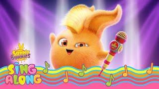 SUNNY BUNNIES - And Turbo Was His Name-o! | BRAND NEW - SING ALONG | Cartoons for Children