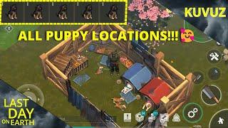 ALL DOG LOCATIONS IN 1:29 MINS! + PRO TIP! - Last Day On Earth | LDOE