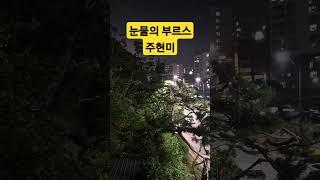 #눈물의부르스# 원곡 주현미 #송가인# 아름다운 야경