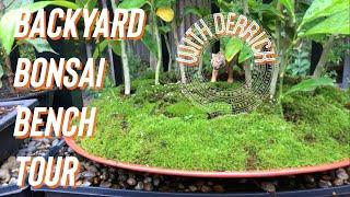 Backyard Bonsai Bench Tour... with Toronto Bonsai Society member Derrick