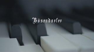 Bösendorfer - simply moving