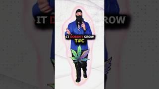 Is THCa fake or synthetic?