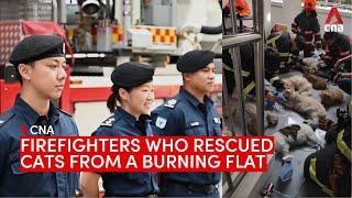 The SCDF firefighters who rescued cats from a burning flat