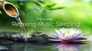 No Ads Relaxing Music For Sleeping ~ Deep sleep music, Relaxing music, Stress relief, Meditation...