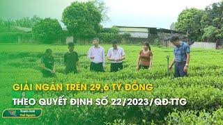 Giải ngân trên 29,6 tỷ đồng theo quyết định số 22/2023/QĐ-TTG | Thái Nguyên TV