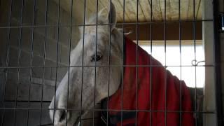 Goucher College Riding Facility