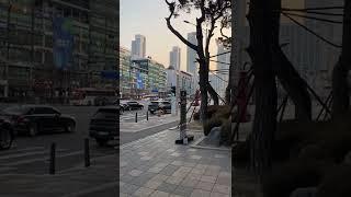 눈호강하고 오는 영상️(마지막주의)