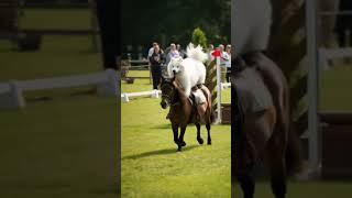 PLEASE DON'T COPY !!! #DreamScreenAI#equestrian#pony#dog#funny#relatable#trend#ai#jump#viral#bella#