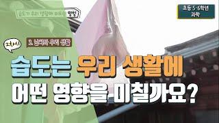 [초등 과학 5-2] 3. 날씨와 우리 생활 - 2차시 습도는 우리 생활에 어떤 영향을 미칠까요?