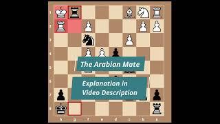 #Checkmate Pattern 1 : Arabian Mate | Scotch Gambit