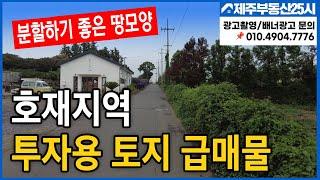 [매물번호0256] 제주도 투자용도 좋고 실수요자용도 좋은 급매물 토지