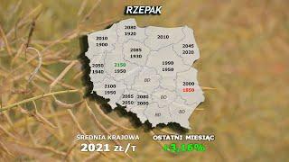 #269 agro wiadomości nonstop - 08.10.2024