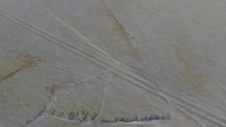 8.5m Ammonite shell drag mark