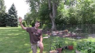 How to Have A Successful Garden ~ Location & Sunlight